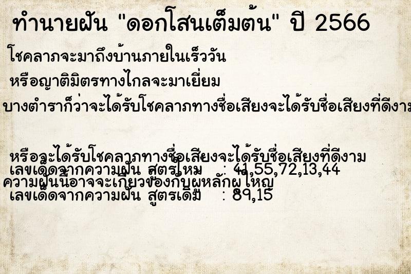 ทำนายฝันดอกโสนเต็มต้น ทำนายฝันทำนายฝันดอกโสนเต็มต้น