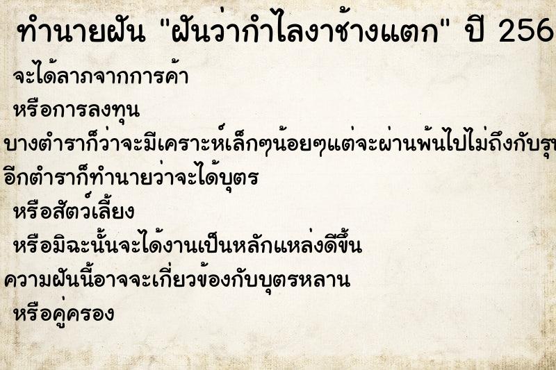 ทำนายฝัน ฝันว่ากำไลงาช้างแตก ทำนายฝัน ฝันว่ากำไลงาช้างแตก