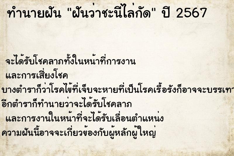 ทำนายฝัน ฝันว่าชะนีไล่กัด ตำราโบราณ แม่นที่สุดในโลก