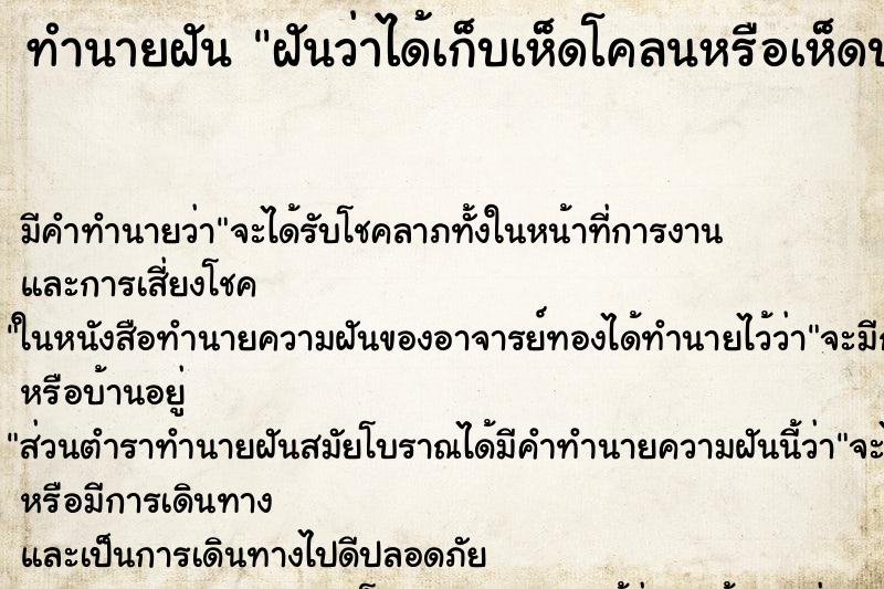ทำนายฝันฝันว่าได้เก็บเห็ดโคลนหรือเห็ดปลวก ทำนายฝันทำนายฝันฝันว่าได้เก็บเห็ดโคลนหรือเห็ดปลวก