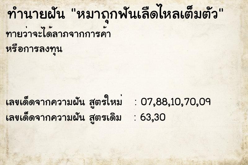 ทำนายฝันหมาถุกฟันเลืดไหลเต็มตัว ทำนายฝันทำนายฝันหมาถุกฟันเลืดไหลเต็มตัว