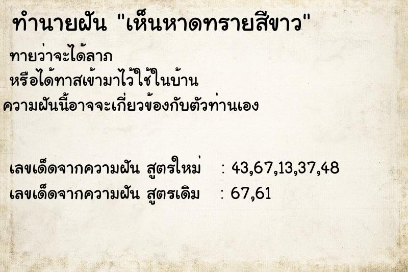 ทำนายฝันเห็นหาดทรายสีขาว ทำนายฝันทำนายฝันเห็นหาดทรายสีขาว