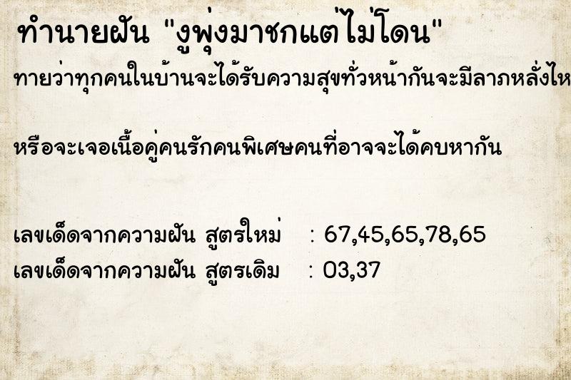ทำนายฝันทำนายฝันงูพุ่งมาชกแต่ไม่โดน