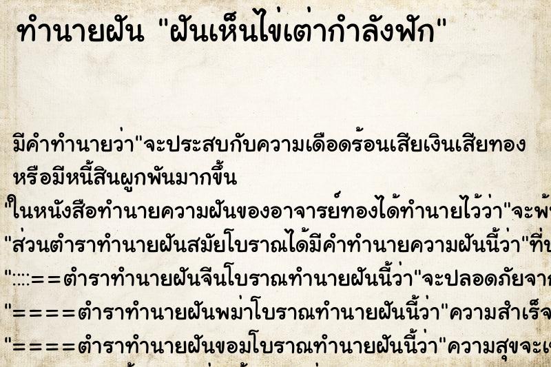 ทำนายฝัน ฝันเห็นไข่เต่ากำลังฟัก ทำนายฝัน ฝันเห็นไข่เต่ากำลังฟัก
