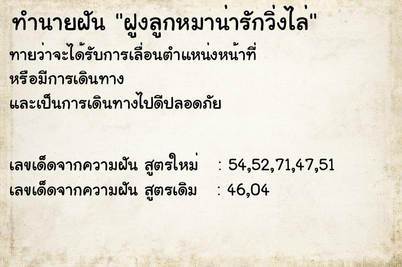 ทำนายฝันฝูงลูกหมาน่ารักวิ่งไล่ ทำนายฝันทำนายฝันฝูงลูกหมาน่ารักวิ่งไล่