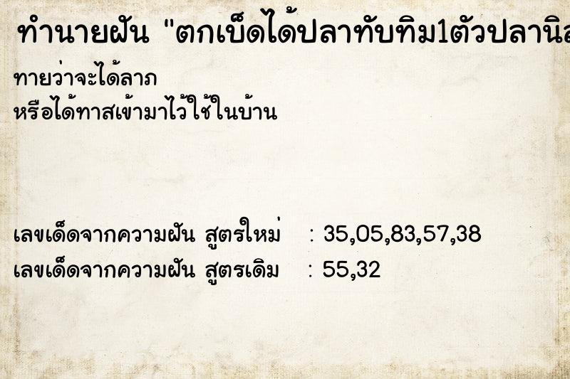 ทำนายฝันตกเบ็ดได้ปลาทับทิม1ตัวปลานิล1ตัว ทำนายฝันทำนายฝันตกเบ็ดได้ปลาทับทิม1ตัวปลานิล1ตัว