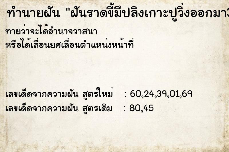 ทำนายฝัน ฝันราดขี้มีปลิงเกาะปูวิ่งออกมา3ตัว