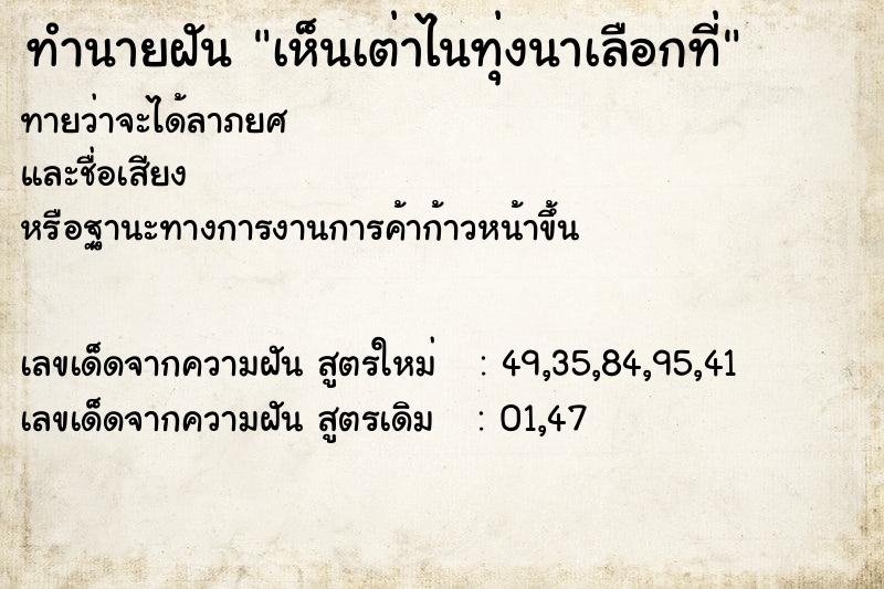 ทำนายฝันเห็นเต่าไนทุ่งนาเลือกที่ ทำนายฝันทำนายฝันเห็นเต่าไนทุ่งนาเลือกที่