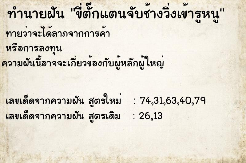 ทำนายฝันทำนายฝันขี่ตั๊กแตนจับช้างวิ่งเข้ารูหนู