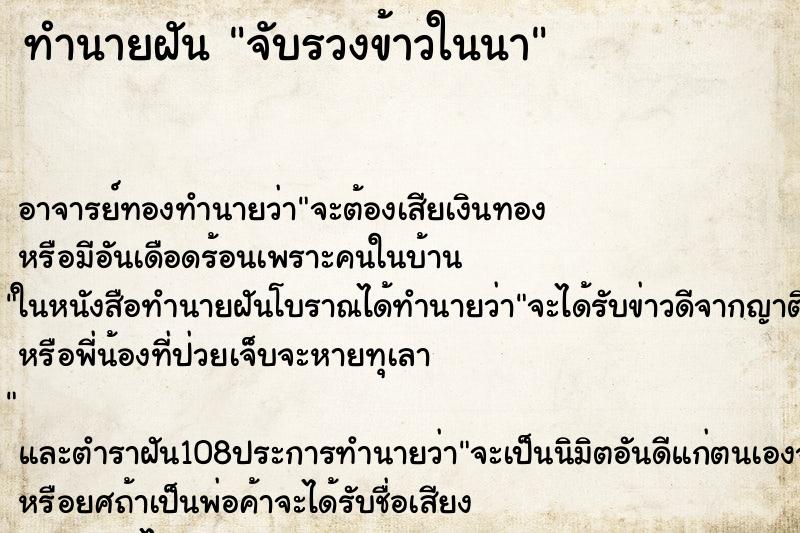 ทำนายฝัน จับรวงข้าวในนา ตำราโบราณ แม่นที่สุดในโลก