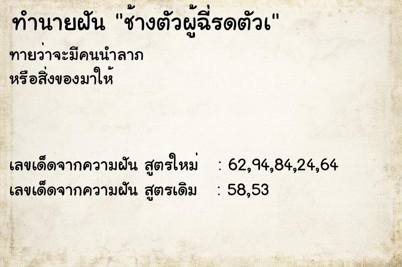 ทำนายฝันทำนายฝันช้างตัวผู้ฉี่รดตัวเ