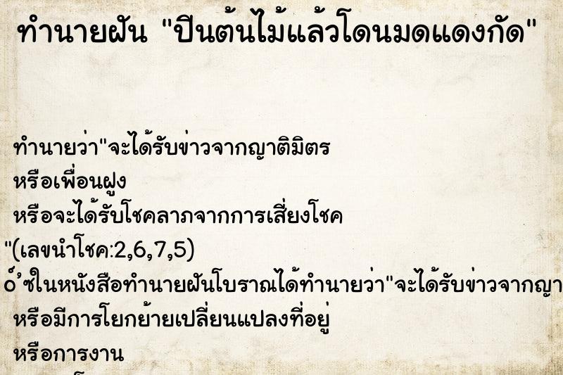 ทำนายฝัน ปีนต้นไม้แล้วโดนมดแดงกัด ทำนายฝัน ปีนต้นไม้แล้วโดนมดแดงกัด