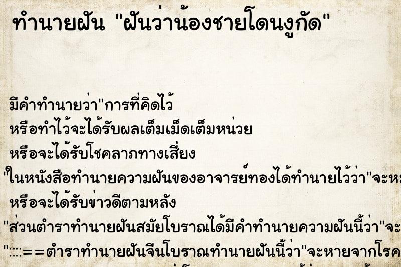 ทำนายฝัน ฝันว่าน้องชายโดนงูกัด ทำนายฝัน ฝันว่าน้องชายโดนงูกัด