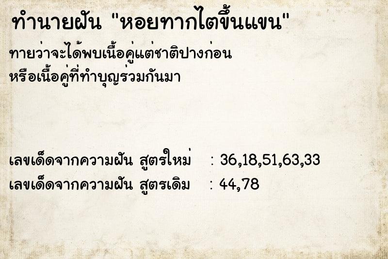 ทำนายฝันหอยทากไตขึ้นแขน ทำนายฝันทำนายฝันหอยทากไตขึ้นแขน
