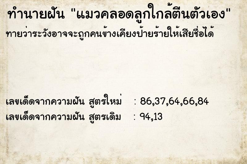 ทำนายฝันทำนายฝันแมวคลอดลูกใกล้ตีนตัวเอง