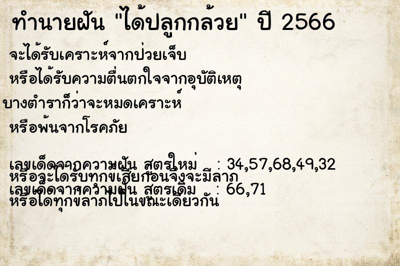 ทำนายฝันทำนายฝันได้ปลูกกล้วย