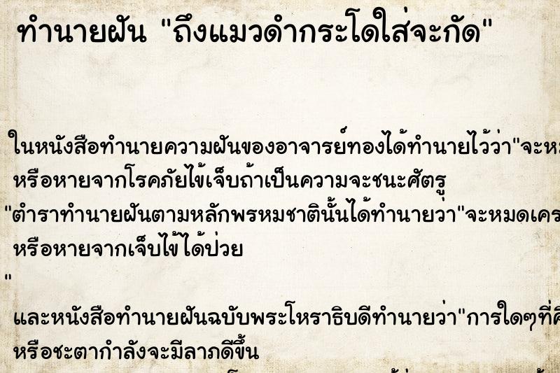 ทำนายฝันทำนายฝันถึงแมวดำกระโดใส่จะกัด