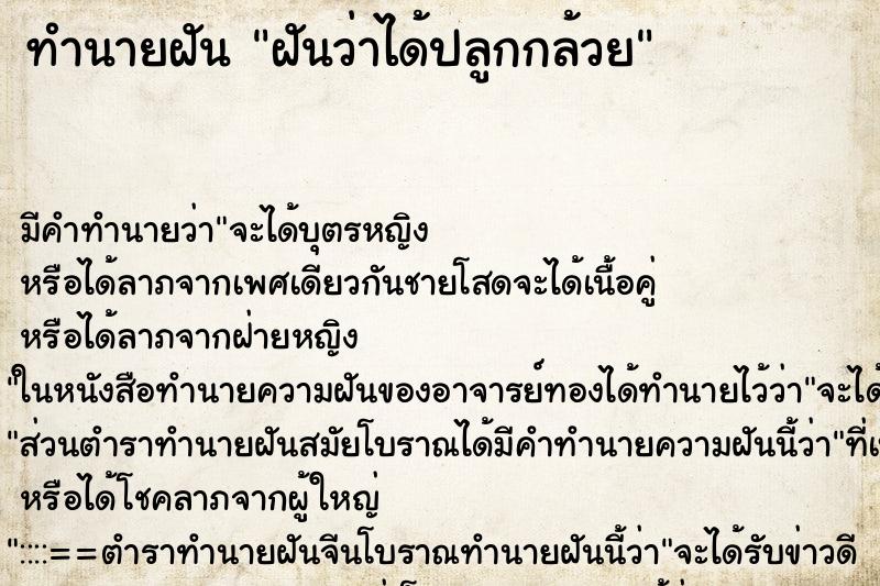ทำนายฝัน ฝันว่าได้ปลูกกล้วย ทำนายฝัน ฝันว่าได้ปลูกกล้วย