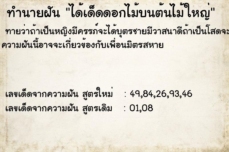 ทำนายฝันได้เด็ดดอกไม้บนต้นไม้ใหญ่ ทำนายฝันทำนายฝันได้เด็ดดอกไม้บนต้นไม้ใหญ่