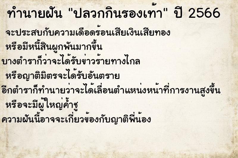 ทำนายฝัน ปลวกกินรองเท้า ตำราโบราณ แม่นที่สุดในโลก