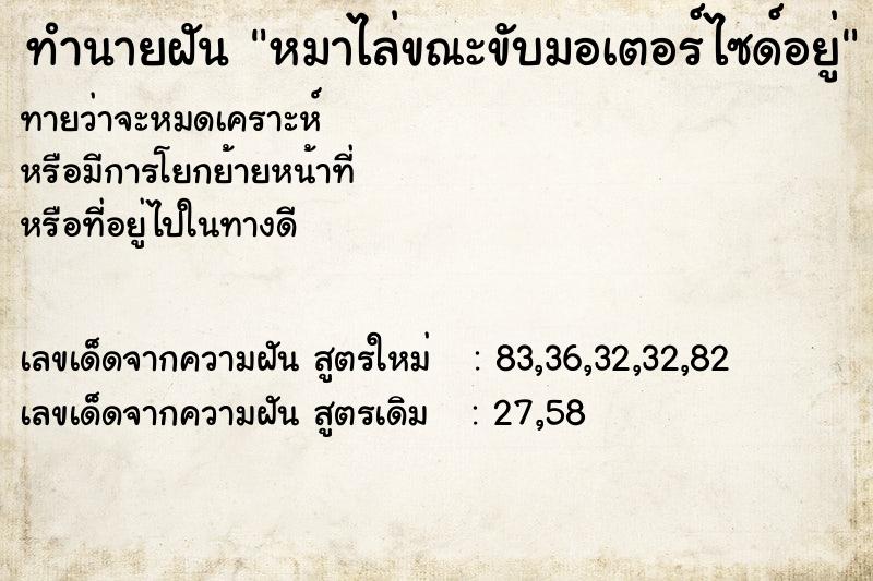 ทำนายฝันหมาไล่ขณะขับมอเตอร์ไซด์อยู่ ทำนายฝันทำนายฝันหมาไล่ขณะขับมอเตอร์ไซด์อยู่