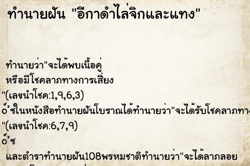 ทำนายฝัน อีกาดำไล่จิกและแทง