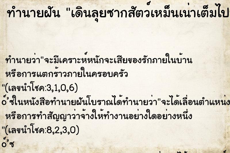 ทำนายฝัน เดินลุยซากสัตว์เหม็นเน่าเต็มไปหมด ทำนายฝัน เดินลุยซากสัตว์เหม็นเน่าเต็มไปหมด