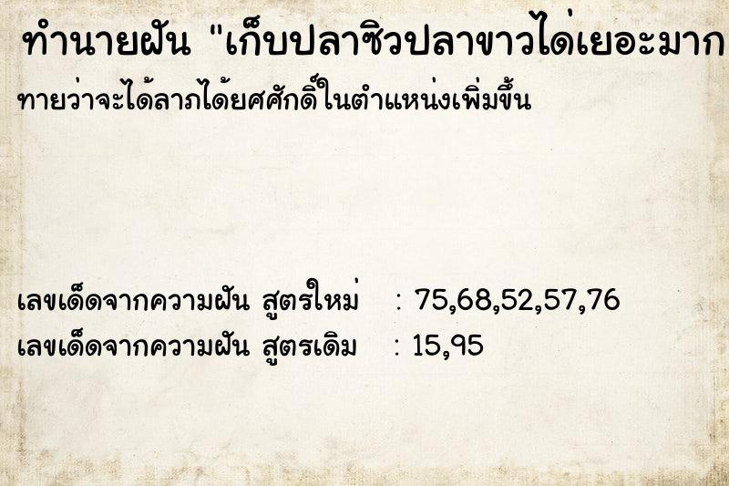 ทำนายฝันทำนายฝันเก็บปลาซิวปลาขาวได่เยอะมาก