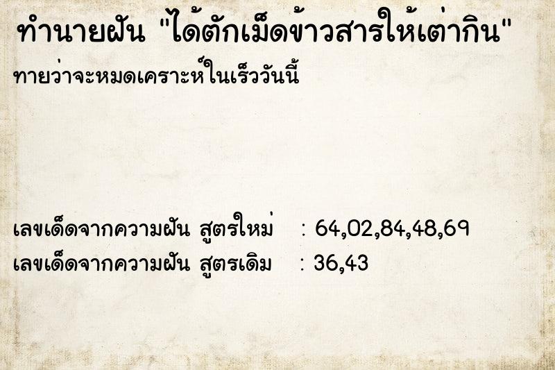 ทำนายฝันทำนายฝันได้ตักเม็ดข้าวสารให้เต่ากิน