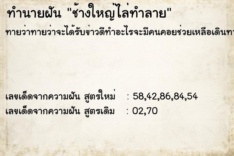ทำนายฝัน ช้างใหญ่ไล่ทำลาย ทำนายฝัน ช้างใหญ่ไล่ทำลาย