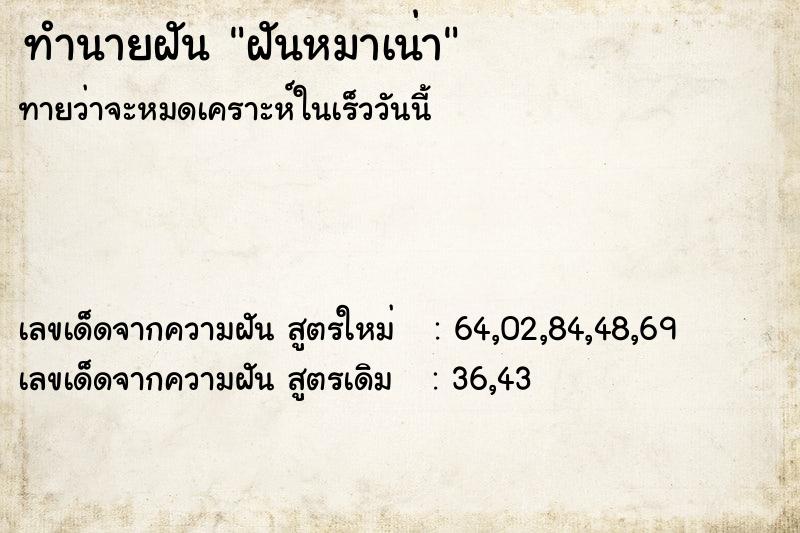 ทำนายฝัน ฝันหมาเน่า ทำนายฝัน ฝันหมาเน่า