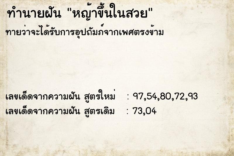 ทำนายฝันหญ้าขึ้นในสวย ทำนายฝันทำนายฝันหญ้าขึ้นในสวย