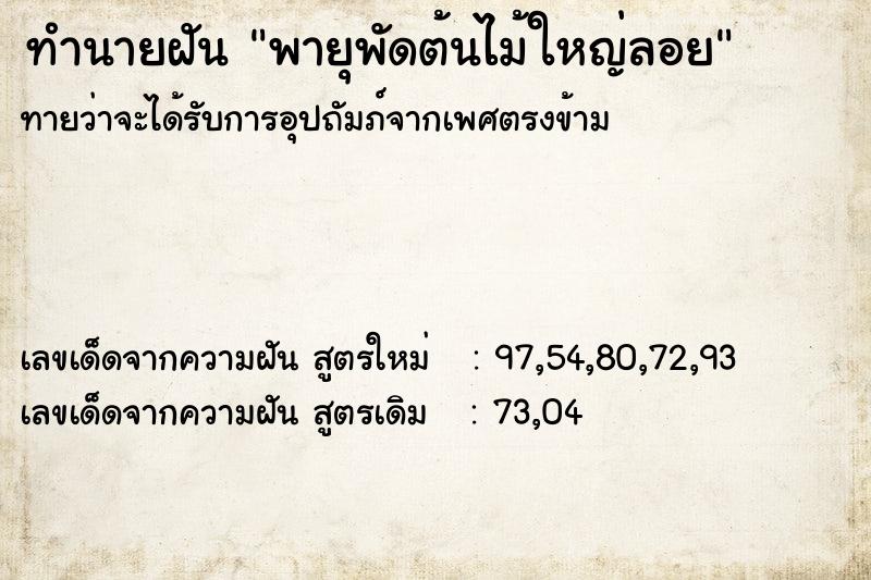 ทำนายฝันพายุพัดต้นไม้ใหญ่ลอย ทำนายฝันทำนายฝันพายุพัดต้นไม้ใหญ่ลอย