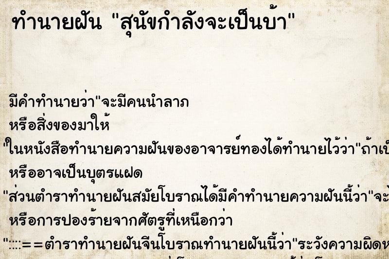 ทำนายฝันทำนายฝันสุนัขกำลังจะเป็นบ้า