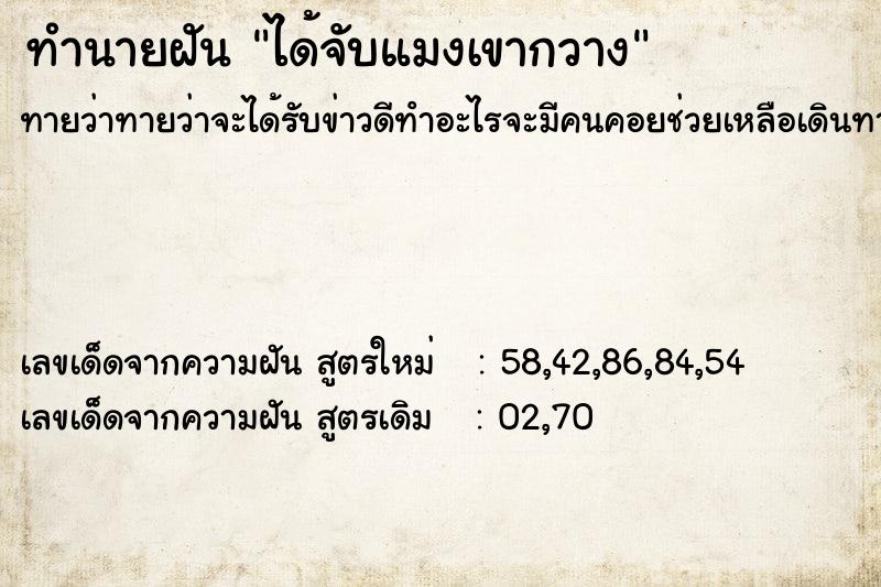ทำนายฝันได้จับแมงเขากวาง ทำนายฝันทำนายฝันได้จับแมงเขากวาง