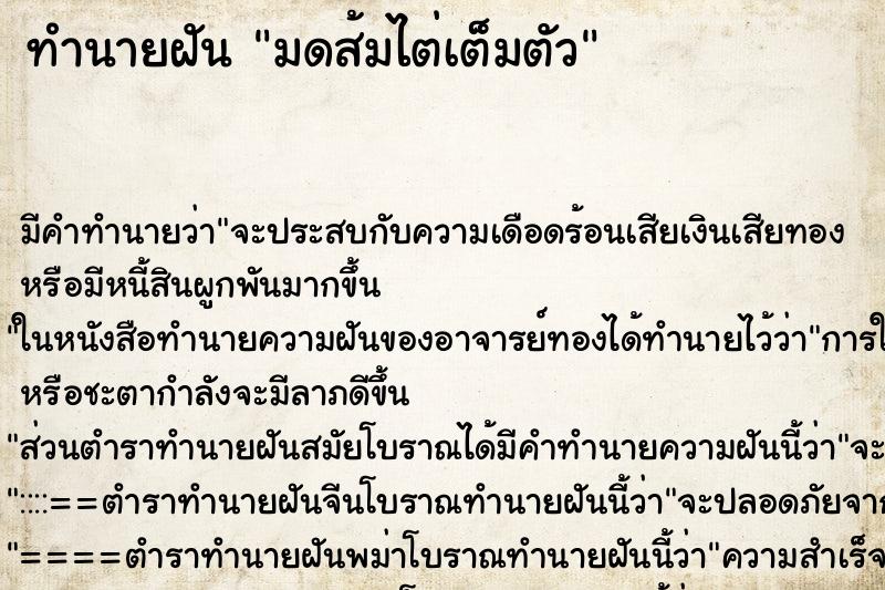 ทำนายฝันทำนายฝันมดส้มไต่เต็มตัว