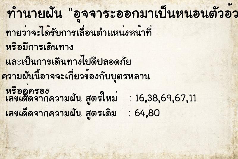 ทำนายฝัน อุจจาระออกมาเป็นหนอนตัวอ้วนสีขาว ทำนายฝัน อุจจาระออกมาเป็นหนอนตัวอ้วนสีขาว