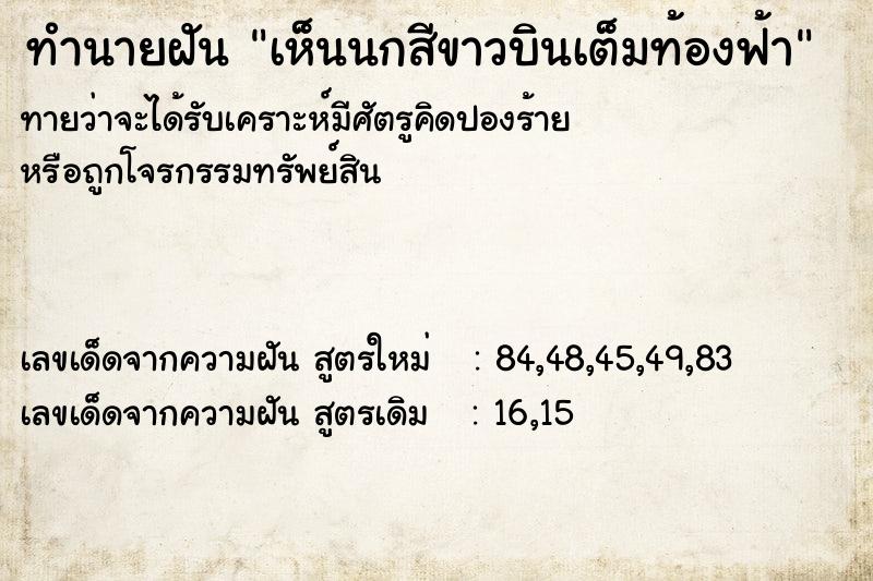 ทำนายฝันเห็นนกสีขาวบินเต็มท้องฟ้า ทำนายฝันทำนายฝันเห็นนกสีขาวบินเต็มท้องฟ้า