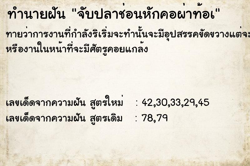 ทำนายฝันจับปลาช่อนหักคอผ่าท้อà ทำนายฝันทำนายฝันจับปลาช่อนหักคอผ่าท้อà