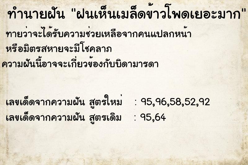 ทำนายฝันฝนเห็นเมล็ดข้าวโพดเยอะมาก ทำนายฝันทำนายฝันฝนเห็นเมล็ดข้าวโพดเยอะมาก
