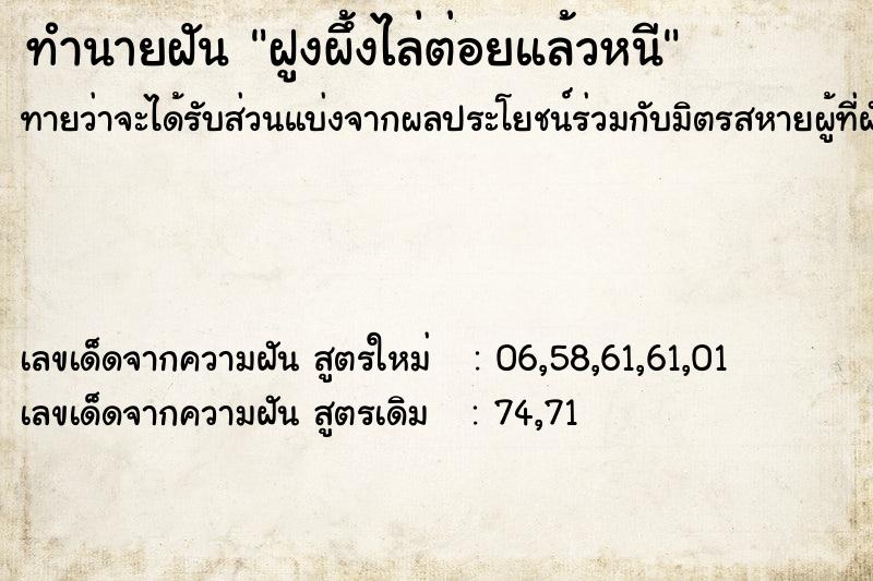ทำนายฝัน ฝูงผึ้งไล่ต่อยแล้วหนี ทำนายฝัน ฝูงผึ้งไล่ต่อยแล้วหนี