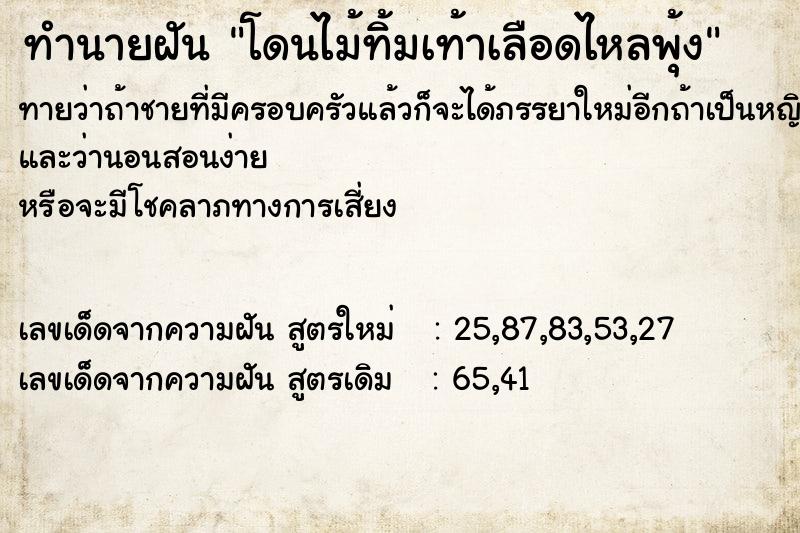 ทำนายฝันโดนไม้ทิ้มเท้าเลือดไหลพุ้ง ทำนายฝันทำนายฝันโดนไม้ทิ้มเท้าเลือดไหลพุ้ง