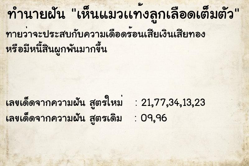 ทำนายฝันเห็นแมวเเท้งลูกเลือดเต็มตัว ทำนายฝันทำนายฝันเห็นแมวเเท้งลูกเลือดเต็มตัว