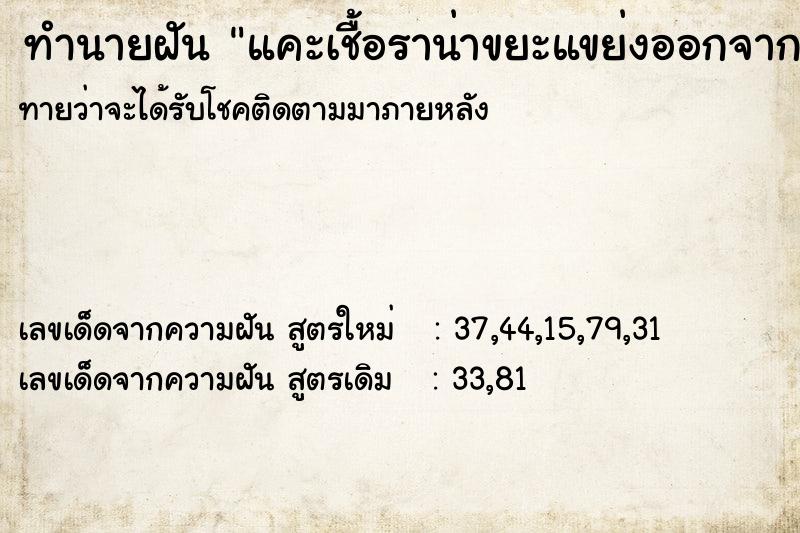ทำนายฝันแคะเชื้อราน่าขยะแขย่งออกจากนิ้วโป้งเท้า ทำนายฝันทำนายฝันแคะเชื้อราน่าขยะแขย่งออกจากนิ้วโป้งเท้า