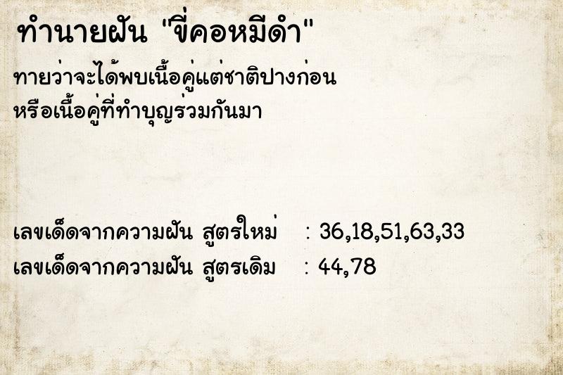 ทำนายฝันทำนายฝันขี่คอหมีดำ