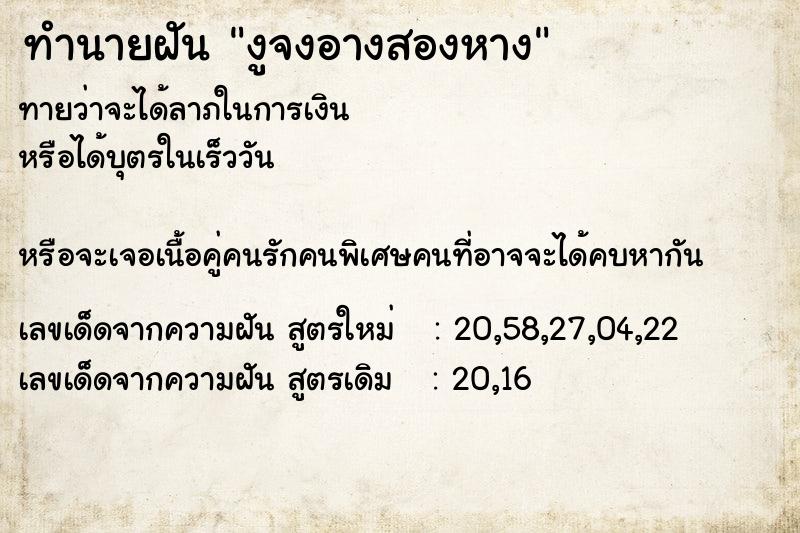 ทำนายฝันงูจงอางสองหาง ทำนายฝันทำนายฝันงูจงอางสองหาง