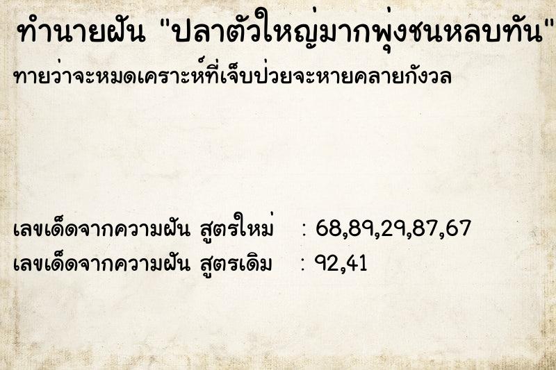 ทำนายฝันปลาตัวใหญ่มากพุ่งชนหลบทัน ทำนายฝันทำนายฝันปลาตัวใหญ่มากพุ่งชนหลบทัน