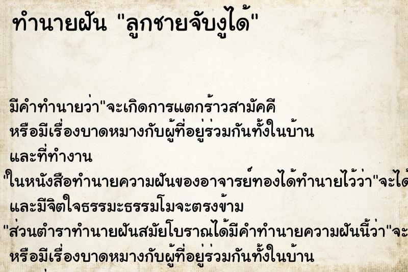 ทำนายฝันลูกชายจับงูได้ ทำนายฝันทำนายฝันลูกชายจับงูได้