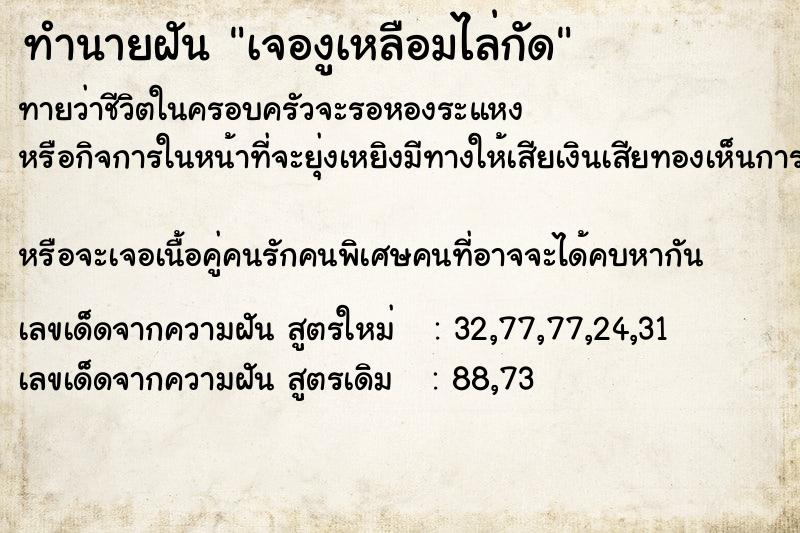 ทำนายฝันเจองูเหลือมไล่กัด ทำนายฝันทำนายฝันเจองูเหลือมไล่กัด