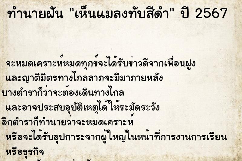 ทำนายฝันเห็นแมลงทับสีดำ ทำนายฝันทำนายฝันเห็นแมลงทับสีดำ